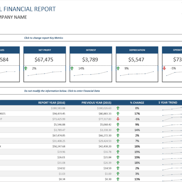 Balance Sheet Excel With Ratios - Business Insights Group AG