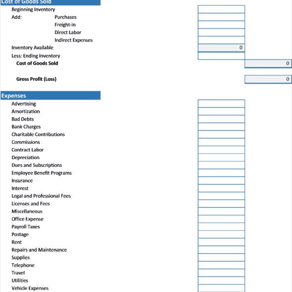 Profit and Loss Income Statement Excel - Business Insights Group AG